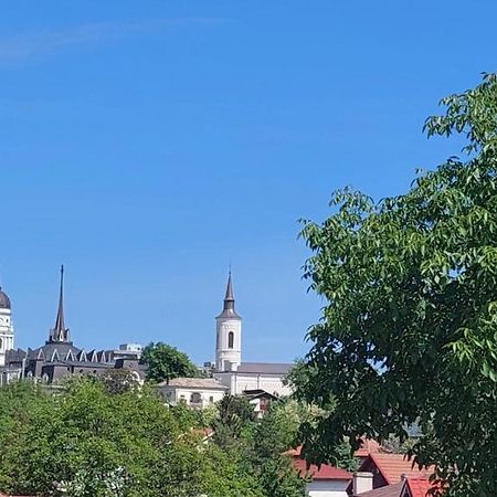 Central Palace Iasi Apart 2 エクステリア 写真