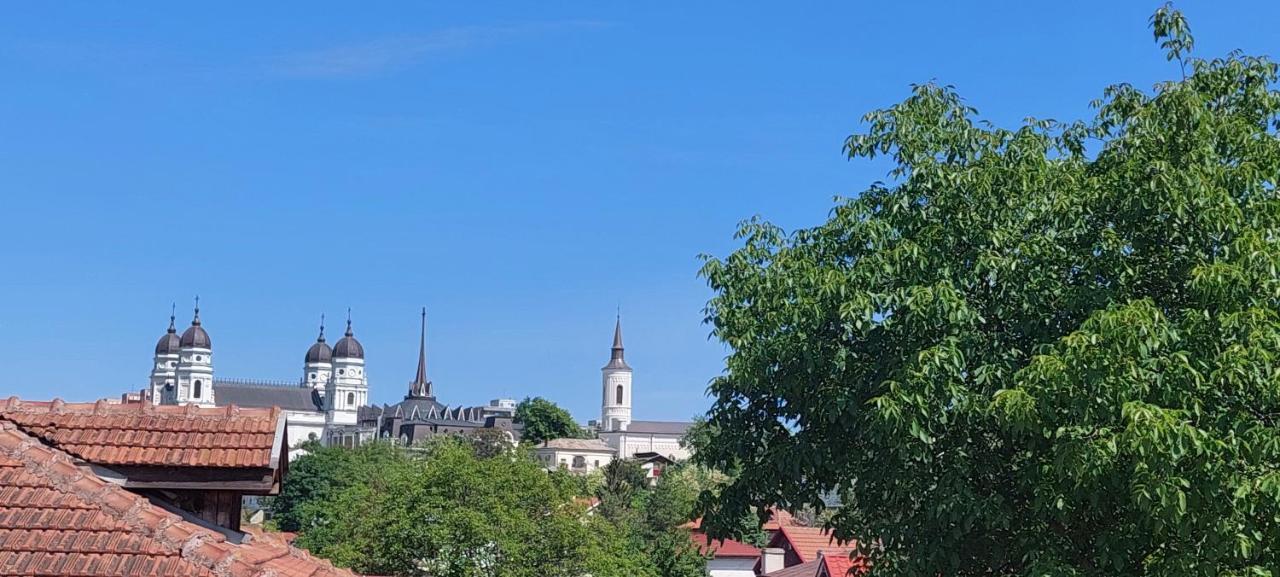 Central Palace Iasi Apart 2 エクステリア 写真